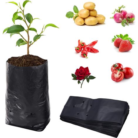 Sac de Culture Spécial 100pcs PE Biodégradable Avec Trou Respiratoire Pour Fruits, Herbes, Fleurs - 12x30cm (DxH) (1/5)