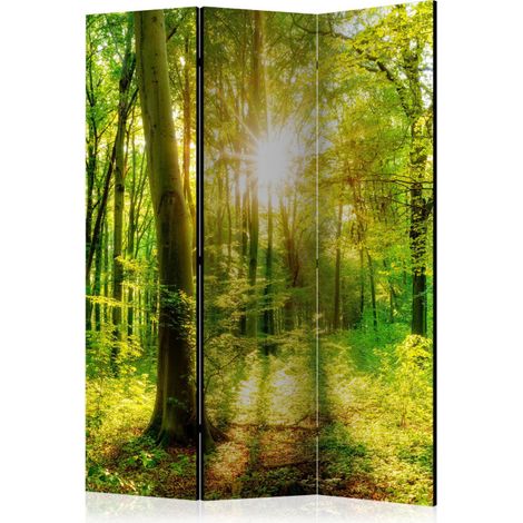 Paravent 3 Volets "Forest Rays" 135x172cm (1/2)