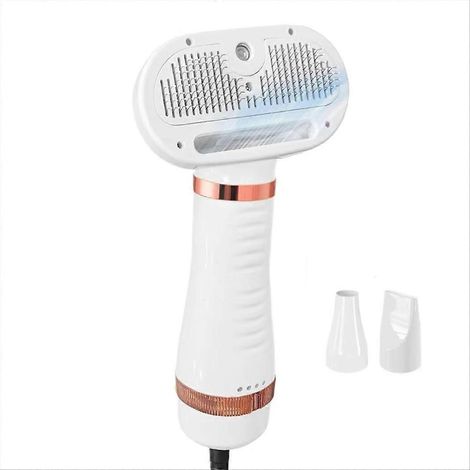 Sèche-poils pour animaux de compagnie, brosse de toilettage pour chats et chiens, séchage professionnel à domicile, sèche-poils portable pour salon de toilettage canin, prise UE (1/5)