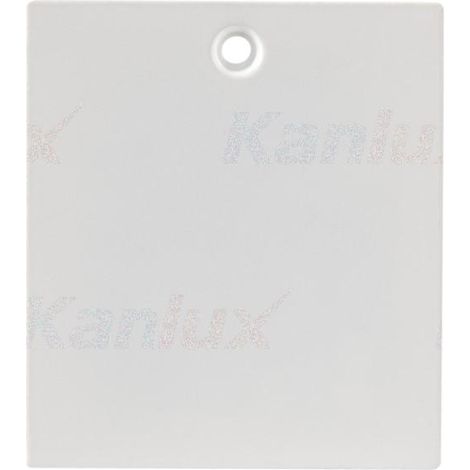 ACCESSORIO DEL SISTEMA A BINARIO TEAR N RC-PCON W - KANLUX (1/3)