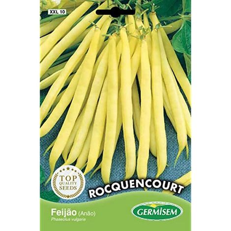 Graines de Haricots Français 100 g XXL 10 (1/2)