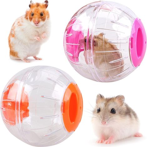 niedliche, transparente Bälle für Hamster - Gymnastikbälle (1/5)