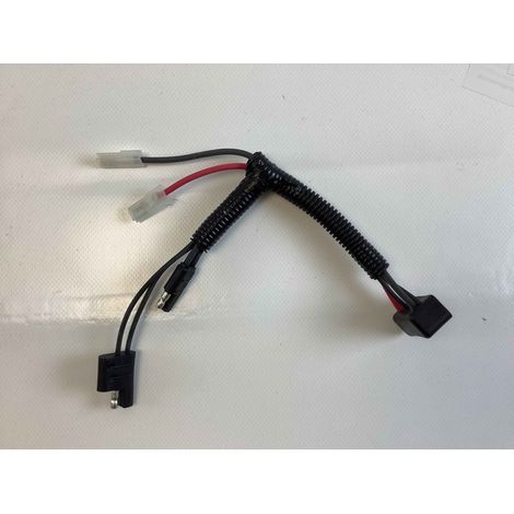 Cablaggio cavetto INSTART cavo contatto batteria BRIGGS&STRATTON 84003347 (1/4)
