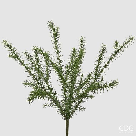 EDG Enzo De Gasperi Pianta Artificiale Rosmarino Cespuglio H 61 Cm Verde – Pianta Decorativa Realistica Design Moderno