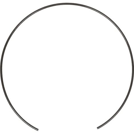 Circlip CI125344 CARRARO CI125344