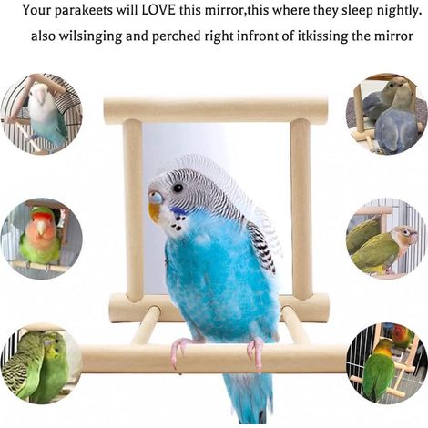 101010cm Bird Mirror Bite Toy, Portable Hanging Perch Mirror Decoration for Bird Cage Interior