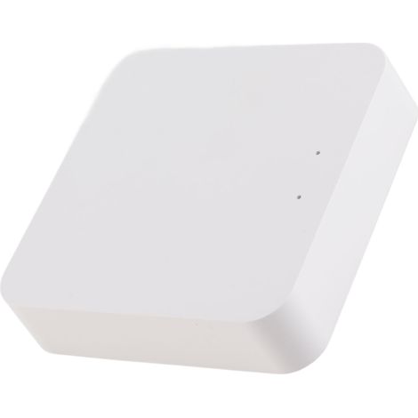 Centrale Domotique Zigbee 2.4GHz WiFi DC 5V 1A Passerelle Sans Fil pour Éclairage et Électroménager (1/5)