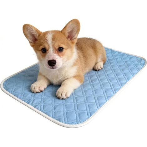 Tapis Rafraîchissant pour Chien Absorbant et Antitranspirant 45x35 cm Coussin Rafraîchissant Doux pour Caisse Chenil Sol Canapé (1/5)