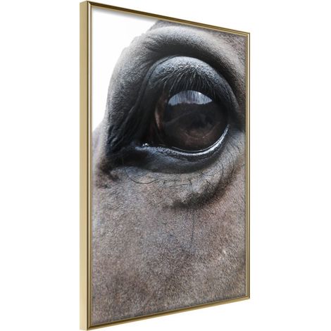 Affiche Murale Encadrée "Gentle Eyes" 30 x 42 cm Or