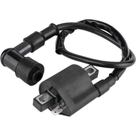 Bobine d'allumage de Scooter, Bobine Allumage, Bobine d'allumage pour Moto Tout-terrain MBK Booster Bobine d'allumage de moto pour la Plupart des Cyclomoteurs de Scooter de VTT 150CC 200CC 250CC (1/5)