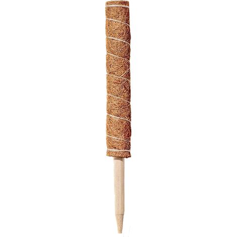 Soporte para plantas de fibra de coco – [Modelo] Poste de musgo – 4 tamaños (30/40/50/60 cm), fibra de coco caqui natural – para Monstera, Pothos y plantas trepadoras (1/5)