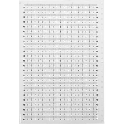 Lot de 20 rubans mesure adhésifs en plastique pour établi (1/5)