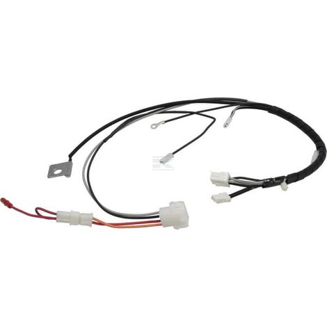 Faisceau de câble BRIGGS & STRATTON 597204