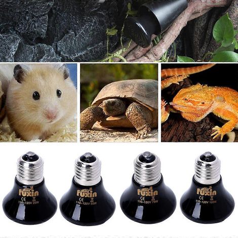 Ampoule chauffante en céramique pour reptiles, sans lumière, pour couveuse, poussins et autres animaux de compagnie - 50 W (1/4)