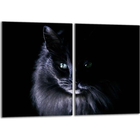 Glasschutzplatte für den Herd 2x40x52 Cat (1/5)