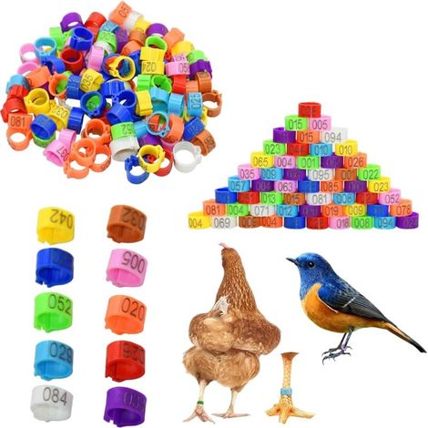 100 bagues d'identification de 20 mm pour pattes de poulet, pigeons et autres volailles. (1/5)