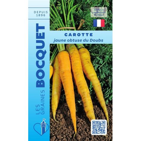 Carotte jaune obtuse du Doubs - 7g