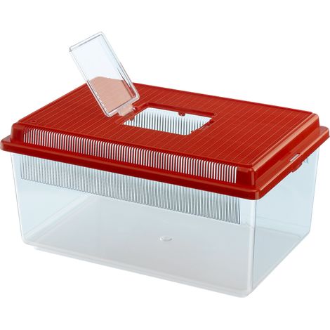 Ferplast GEO FLAT SMALL Conteneur pour poissons, reptiles, insectes ou petites tortues. Variante SMALL - Misure: 35.5 x 23.5 x h 16.5 cm - 4 L - (1/2)