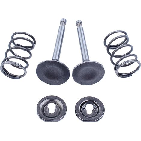 Ensemble de soupape à clapet de ressort d'admission/échappement pour HONDA GX160 GX200 168F 170F 5,5-6,5HP Moteur à combustion interne Moteur à essence Générateur