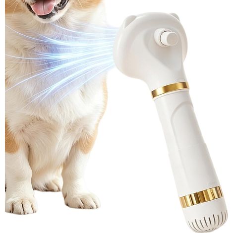 Brosse Soufflante Animaux Outil De Toilettage Multifonction Pour Chien Chat  Brosse Soufflante Portable Pour Chaton Avec 3 Températures Pour Chatons Chiots Appartement Routine Quotidienne Douche (1/5)