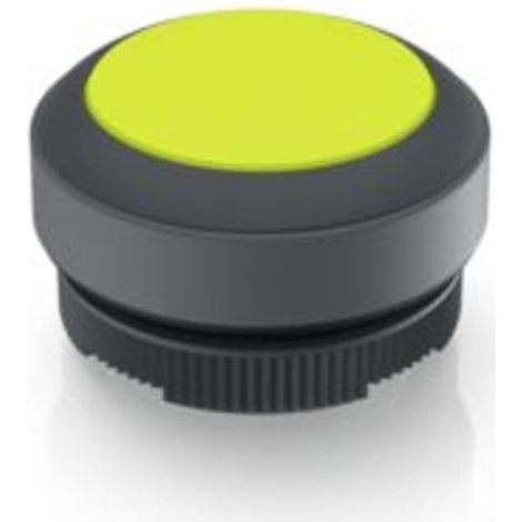 RAFI 1.30.270.001/2401 RAFIX 22 FS Pulsante illuminato Momentaneo (L x L x A) 29.8 x 29.8 x 18.5 mm 1 pz.