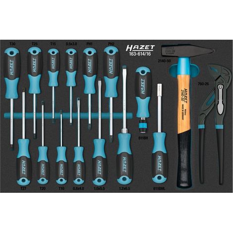 Hazet Werkzeug Satz, Kreuzschlitz Profil PH, Schlitz Profil, Innen TORX Profil, 16-tlg., PH1 - PH2, T10 - T30 (1/2)