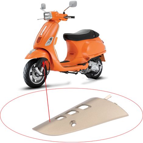 Seitlicher Schwingenschutz für das Vorderrad des Motorrads VESPA S150 2013-2021C (Champagner). (1/5)