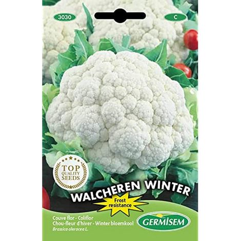 graines Chou-fleur d'hiver Walcheren Winter EC3030 Multicolore (1/2)