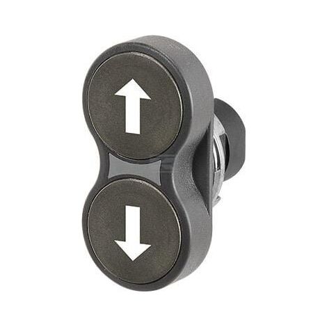 Twin push-button NEW-ELFIN 020P2LNNS46