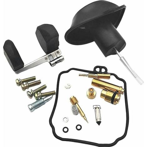 Kit joint flotteur carburateur moto pour Yamaha Virago 250 Xv250 (1/5)