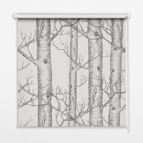 Tenda a Rullo Interna per Finestra - Tenda Filtrante Luce - Tenda Privacy - Tenda Decorativa Rettangolare - Rullo per Interni - (100 cm x 100 cm) - Bauli