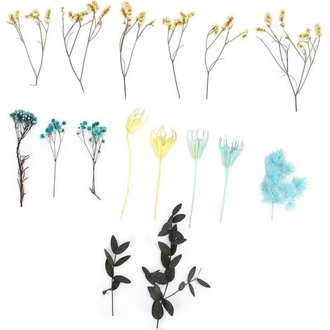 Bouquet de fleurs séchées naturelles, inodores, matériaux DIY exquis pour décoration de table et fête. (1/5)