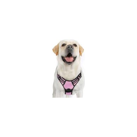 Harnais chien anti-traction rose XL, gilet réfléchissant réglable, attache devant, pour grand chien, American Staff, Border Collie, trajet voiture – (1/5)