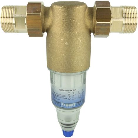 Filtre de rechange Avanti WF 1 1/4’’ avec raccords à visser