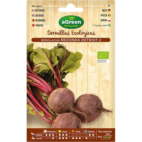 Enveloppe avec graines de betteraves Detroit Agreen biologiques (1/3)