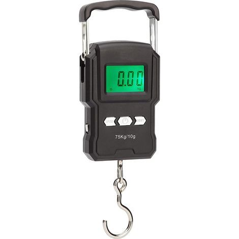 Hanging Scale, Electronic Fishing Scale, Digital Fishing Scale with Hanging Hook and Tape Measure, Backlit LCD Screen, 2 AAA Batteries Included (1/4)