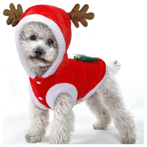 (L) Tenues de Noël pour chien, chat, costume de Noël pour chien, pulls de Noël, manteau à capuche, chapeau, vêtements pour animaux de compagnie, renne, déguisement amusant de Père Noël, cosplay (1/5)
