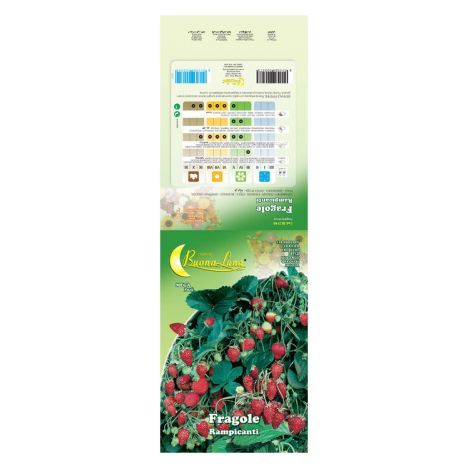 SEMI ORTO FRAGOLE RAMPICANTI 10 PZ