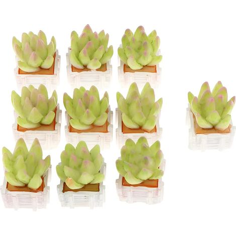 Ensemble miniature de 10 pièces dans un pot carré blanc (1/5)