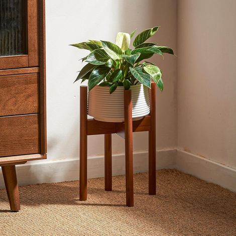 Support pour plantes d'intérieur moderne en bambou, largeur réglable de 20,3 à 30,5 cm (pot et plante non inclus) (marron clair) (1/5)