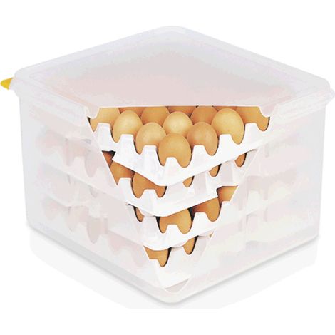 Boîte à Sufs HACCP GN 2/3 pour 4 bacs de 30 Sufs polypropylène polystyrène - Was Germany (1/2)