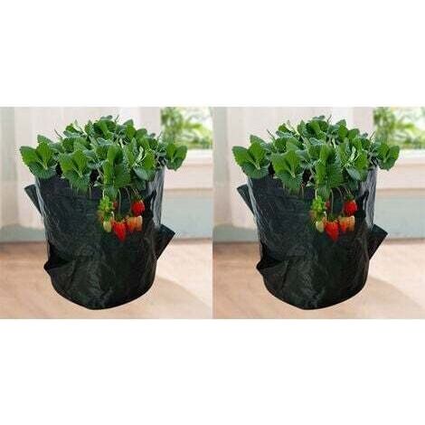 Grow Bags for Strawberries 18L - Set of 2 Geotextile Pots with Window - 23x28cm 4 Openings - Garden Bags for Vegetables and Plants (1/5)