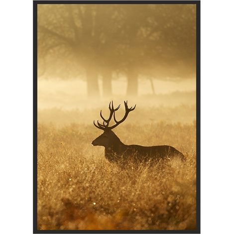 Bild Poster im Rahmen 43x33 cm Goldener Hirsch Pio P661 (1/4)