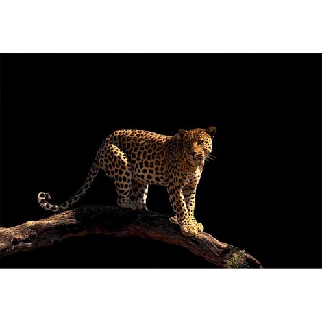 Papier peint panoramique léopard sur fond noir | Tapisserie panoramique pour chambre d'adulte | Papier peint panoramique animaux sauvages - 267 x 400 cm (4 pièces) (1/2)