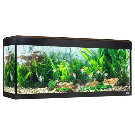 Fluval Rome LED Bluetooth 240L, noce