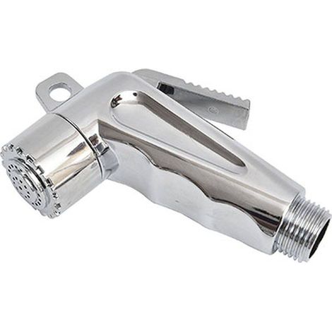 Douchette toilette abs 1 fonction pluie - chrome - Tendance (1/2)