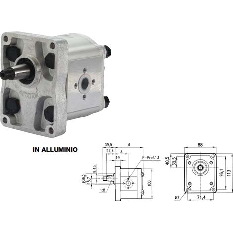 Pompa ad ingranaggi gruppo 2 versione standard albero conico pres. max 175 bar - 80909