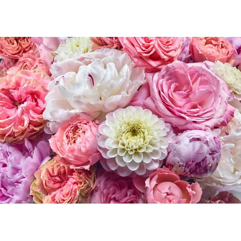 papier peint panoramique des fleurs romantiques rose - Komar (1/2)