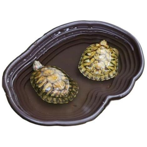 PA Wassernapf für Schildkröten mit Rampe, 38,1 x 27,9 x 5,1 cm, flache Reptilienscheibe, glatt, leicht zu waschen, Mehrzweck-ABS-Schildkröte für GECKO-Schlangen, braun, Schildkröte (1/4)