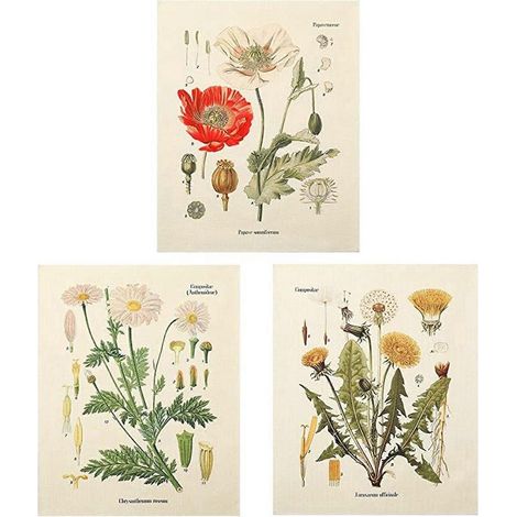 Lot de 3 tapisseries murales à motifs floraux sauvages et végétaux, petite tapisserie pour chambre ou salon (A+B+E) (1/5)